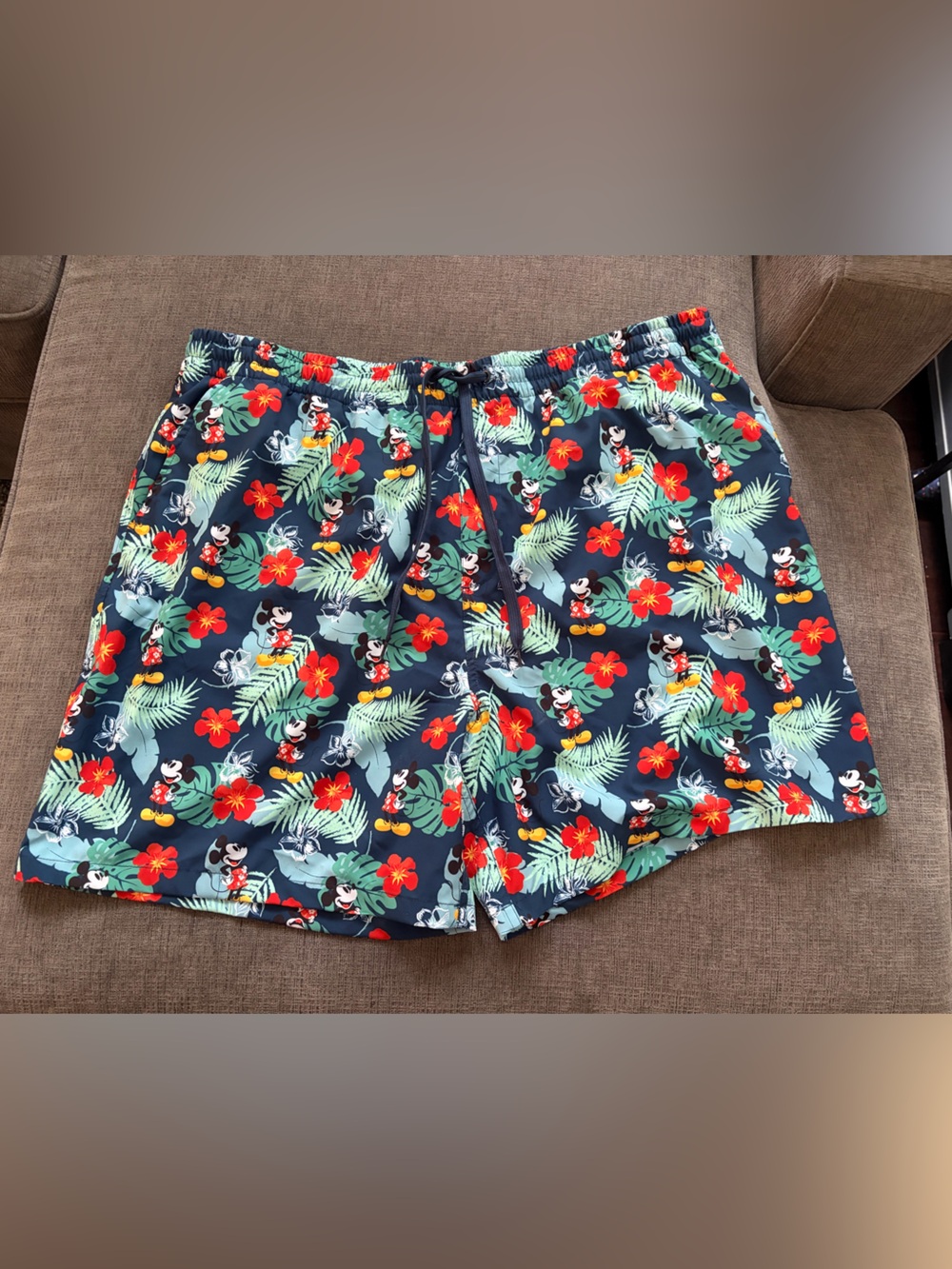 Disney Swim Trunks